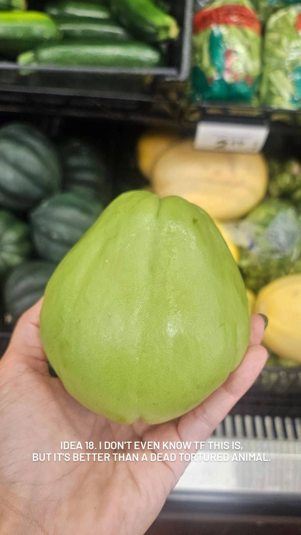 Idea 18. Chayote – 2gr protein. Had to google&nbsp;it.